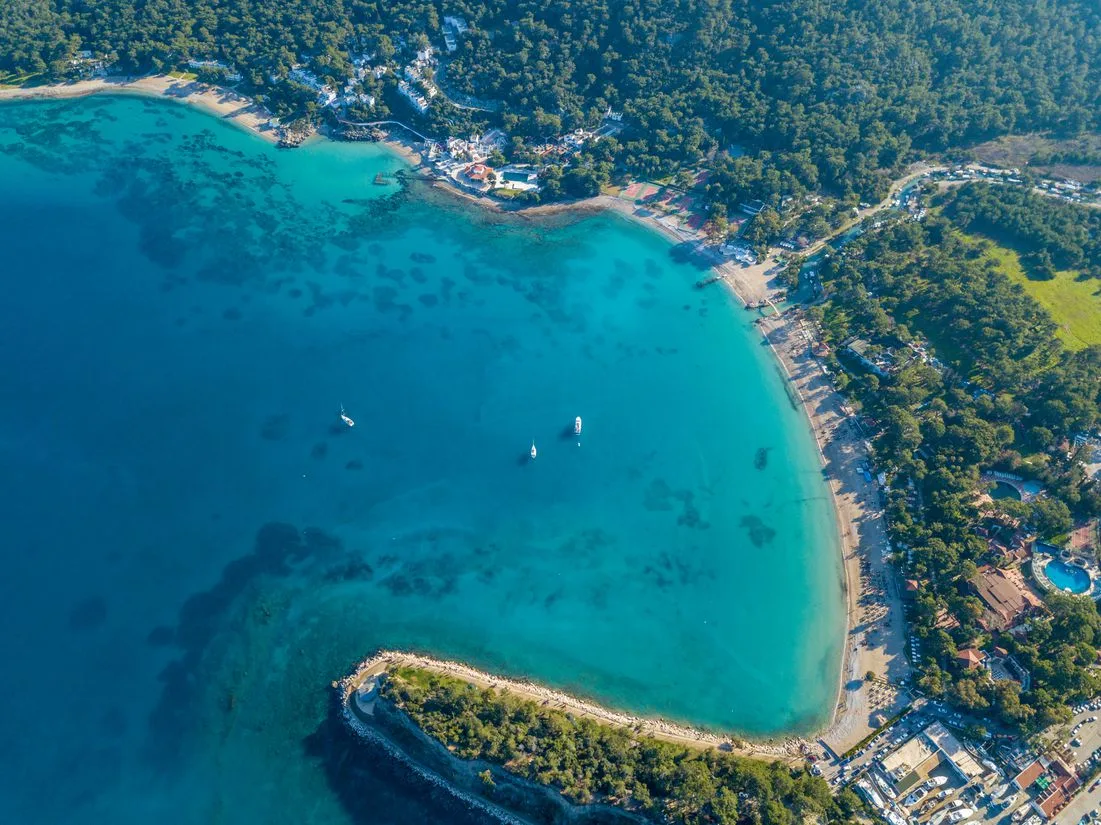 ayisigi bay